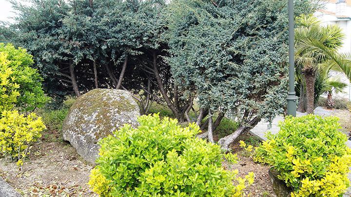 拉梅戈Kolping House住宿加早餐旅馆 外观 照片